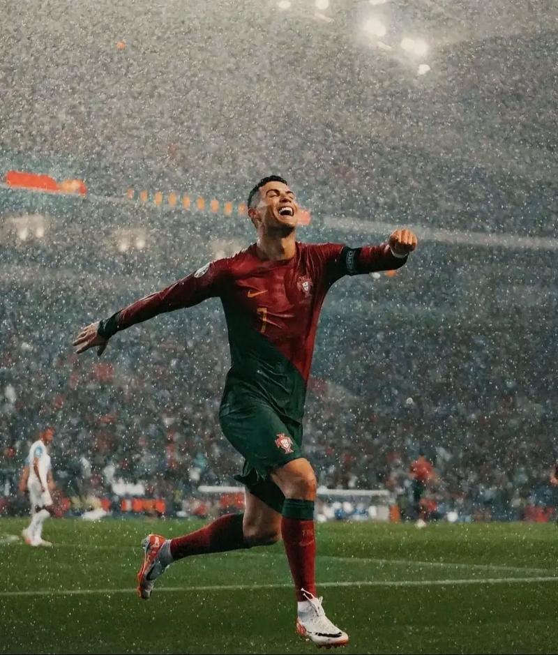 篮球篮网新援表现稳定